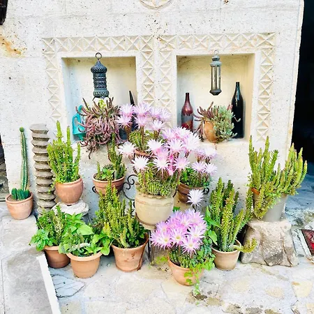 Ξενοδοχείο Sofa Avanos