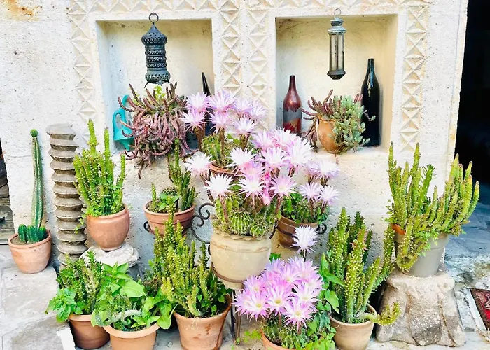 Szálloda Sofa Avanos